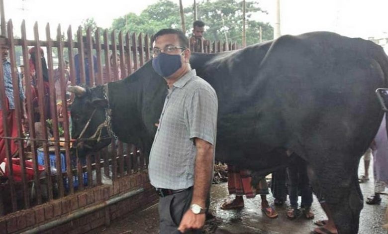 কেরানীগঞ্জে ‘কালো মানিক’র দাম ১৫ লাখ টাকা