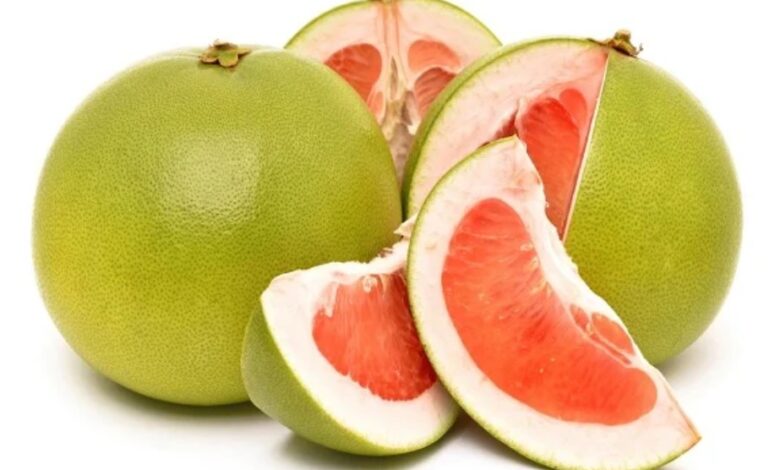 ওষুধ নয়, ১১ রোগের প্রতিষেধক জাম্বুরা