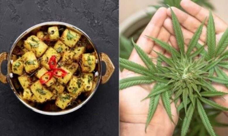 শাক ভেবে রান্না করে গাঁজার তরকারি খাওয়ার পর যা হলো!