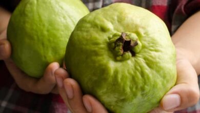 Photo of যে ১০টি কারণে পেয়ারা খাওয়া উচিৎ