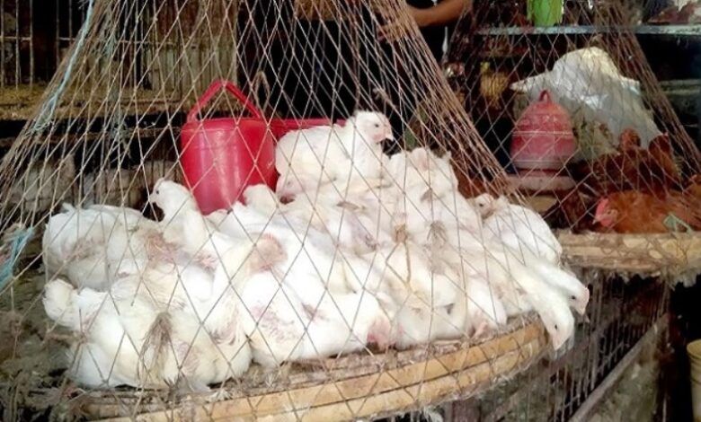 কেজিপ্রতি বেড়েছে ১০০ টাকা, কমেছে ২০ টাকা