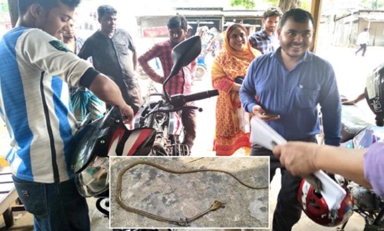 কুড়িগ্রামে চলন্ত মোটরসাইকেলে বিষাক্ত সাপ, প্রাণে বাঁচলেন চালকসহ দুজন